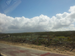 20120427_120229.jpg