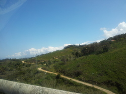 20120427_121715.jpg