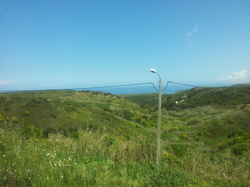20120427_121731.jpg