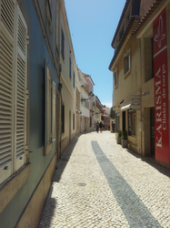 20120427_132204.jpg