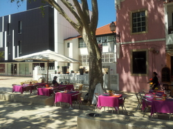 20120427_132737.jpg