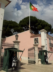 20120427_152816.jpg