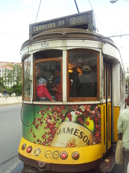 20120428_122239.jpg
