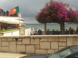 20120428_130252.jpg