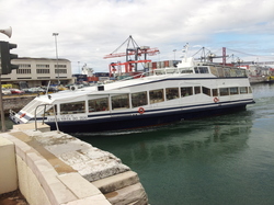 20120429_110402.jpg