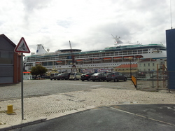 20120429_110619.jpg