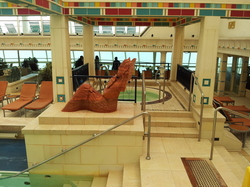 20120429_120218.jpg