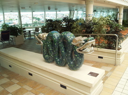 20120429_120258.jpg