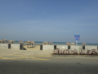 DSC01040.JPG