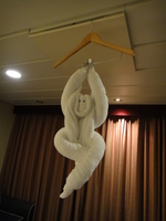 DSC01565.JPG