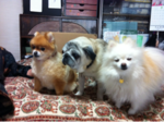 iphone/image-20120421145744.png