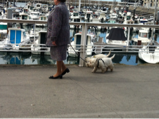 image-20120501165653.png